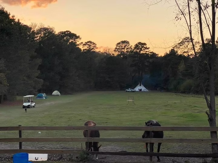 145898898_10158996521567380_648998510027